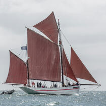© Philip Plisson / Plisson La Trinité / AA38485 La semaine du Golfe 2015 - Photo Galleries - Traditional sailing