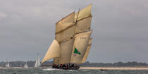 © Philip Plisson / Plisson La Trinité / AA38489 La semaine du Golfe 2015 - Photo Galleries - Traditional sailing