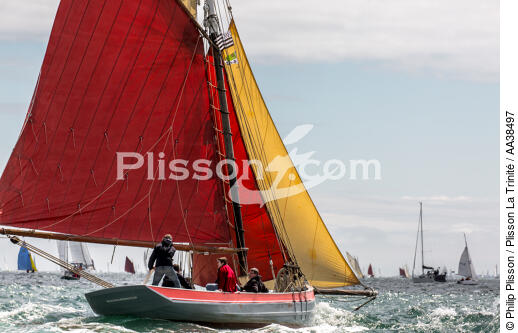 La semaine du Golfe 2015 - © Philip Plisson / Plisson La Trinité / AA38497 - Photo Galleries - Traditional sailing