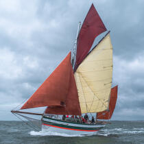 © Philip Plisson / Plisson La Trinité / AA38334 La semaine du Golfe 2015 - Photo Galleries - Traditional sailing