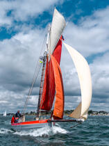 © Philip Plisson / Plisson La Trinité / AA38341 La semaine du Golfe 2015 - Photo Galleries - Traditional sailing