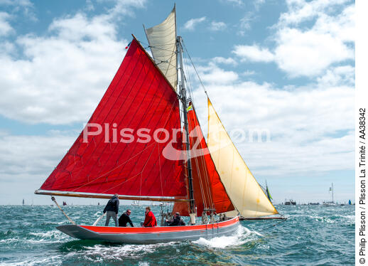 La semaine du Golfe 2015 - © Philip Plisson / Plisson La Trinité / AA38342 - Photo Galleries - Traditional sailing