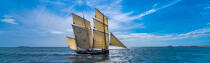 © Philip Plisson / Plisson La Trinité / AA38413 La semaine du Golfe 2015 - Photo Galleries - Traditional sailing