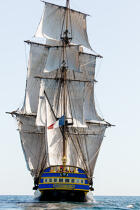 © Philip Plisson / Plisson La Trinité / AA38656 L'Hermione en navigation - Nos reportages photos - Grand voilier