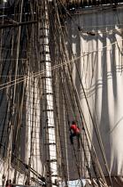 © Philip Plisson / Plisson La Trinité / AA38652 L'Hermione at sea - Photo Galleries - Vertical