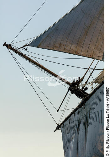 L'Hermione en navigation - © Philip Plisson / Plisson La Trinité / AA38657 - Nos reportages photos - Voile tradition