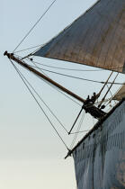 © Philip Plisson / Plisson La Trinité / AA38657 L'Hermione at sea - Photo Galleries - Sailing boat
