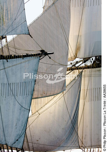 L'Hermione at sea - © Philip Plisson / Plisson La Trinité / AA38655 - Photo Galleries - Vertical