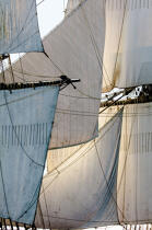 © Philip Plisson / Plisson La Trinité / AA38655 L'Hermione en navigation - Nos reportages photos - Vertical