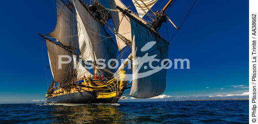L'Hermione at sea - © Philip Plisson / Plisson La Trinité / AA38662 - Photo Galleries - Traditional sailing