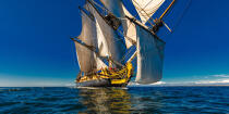 © Philip Plisson / Plisson La Trinité / AA38663 L'Hermione at sea - Photo Galleries - Traditional sailing