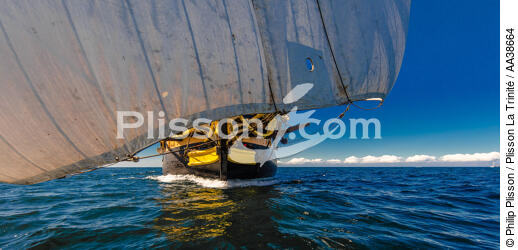L'Hermione en navigation - © Philip Plisson / Plisson La Trinité / AA38664 - Nos reportages photos - Voilier