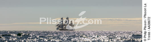 L'Hermione en navigation - © Philip Plisson / Plisson La Trinité / AA38672 - Nos reportages photos - Bateau