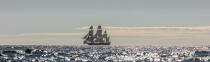 © Philip Plisson / Plisson La Trinité / AA38672 L'Hermione en navigation - Nos reportages photos - Panoramique horizontal