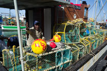 © Philip Plisson / Plisson La Trinité / AA38880 Kalk Bay Harbour - Photo Galleries - Fishing vessel