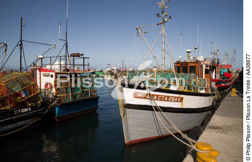 Kalk Bay Harbour - © Philip Plisson / Plisson La Trinité / AA38877 - Nos reportages photos - Casier