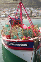 © Philip Plisson / Plisson La Trinité / AA38878 Kalk Bay Harbour - Photo Galleries - Lobster pot