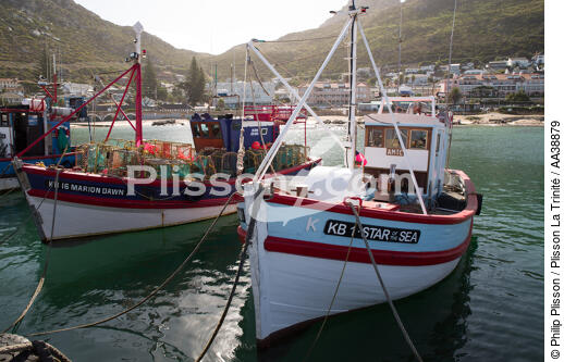 Kalk Bay Harbour - © Philip Plisson / Plisson La Trinité / AA38879 - Photo Galleries - Fishing vessel
