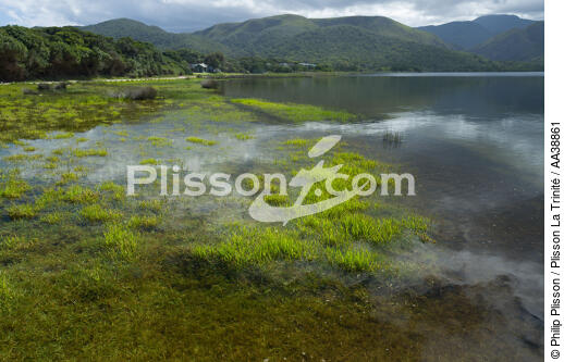 Natures Valley - © Philip Plisson / Plisson La Trinité / AA38861 - Photo Galleries - Coastal landscape