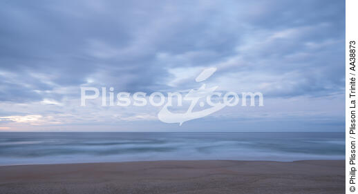Wilderness - © Philip Plisson / Plisson La Trinité / AA38873 - Photo Galleries - Beach