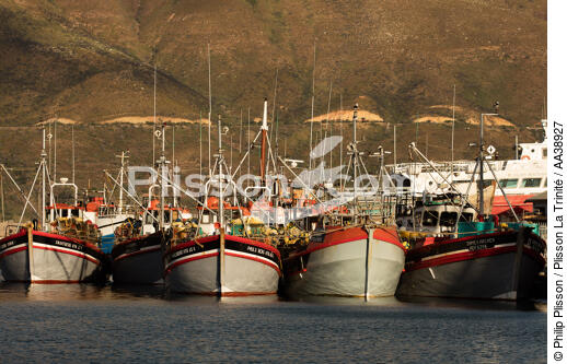 Port de Hout bay - © Philip Plisson / Plisson La Trinité / AA38927 - Nos reportages photos - Pêche