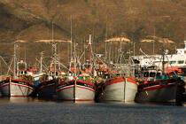 © Philip Plisson / Plisson La Trinité / AA38927 Port de Hout bay - Nos reportages photos - Activité maritime