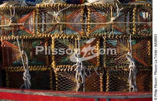 Hout bay harbor - © Philip Plisson / Plisson La Trinité / AA38931 - Photo Galleries - Lobster pot