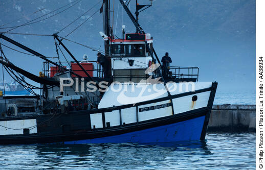Hout bay harbor - © Philip Plisson / Plisson La Trinité / AA38934 - Photo Galleries - Elements of boat
