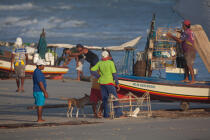 © Philip Plisson / Plisson La Trinité / AA39090 - Photo Galleries - Fishermen of the world