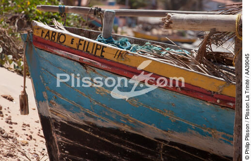Redonda, Brésil - © Philip Plisson / Plisson La Trinité / AA39045 - Nos reportages photos - Pêcheur du monde