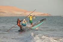 © Philip Plisson / Plisson La Trinité / AA39049 Redonda, Brasil - Photo Galleries - Fishermen of the world