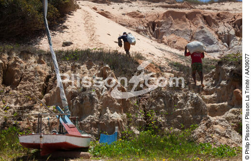 Jangaderos - © Philip Plisson / Plisson La Trinité / AA39077 - Photo Galleries - Maritime activity