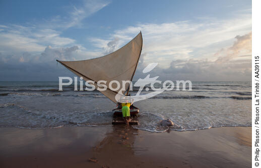 Jangaderos - © Philip Plisson / Plisson La Trinité / AA39115 - Photo Galleries - Brazil