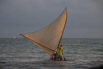 © Philip Plisson / Plisson La Trinité / AA39069 Jangaderos - Nos reportages photos - Activité maritime