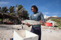 © Philip Plisson / Plisson La Trinité / AA39114 Jangaderos - Nos reportages photos - Pêche