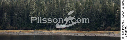 Alaska - © Philip Plisson / Plisson La Trinité / AA39285 - Nos reportages photos - Paysage intérieur