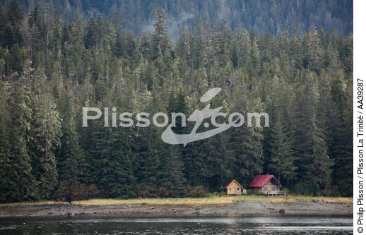 Alaska - © Philip Plisson / Plisson La Trinité / AA39287 - Nos reportages photos - Paysage intérieur