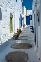 The Cyclades on the Aegean Sea © Philip Plisson / Plisson La Trinité / AA39702 - Photo Galleries - Foreign country