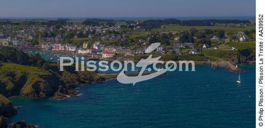 Belle-Ile, Morbihan, Brittany - © Philip Plisson / Plisson La Trinité / AA39952 - Photo Galleries - Aerial shot