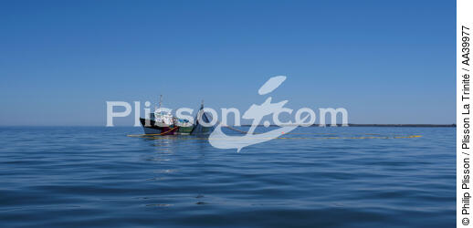 Pêche à la sardine - © Philip Plisson / Plisson La Trinité / AA39977 - Nos reportages photos - Activité maritime