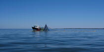 © Philip Plisson / Plisson La Trinité / AA39977 Sardine fishing - Photo Galleries - Color
