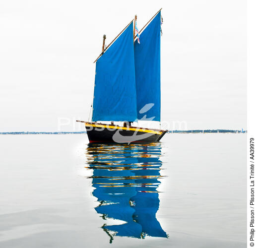Sinagot in Quiberon Bay - © Philip Plisson / Plisson La Trinité / AA39979 - Photo Galleries - Traditional sailing