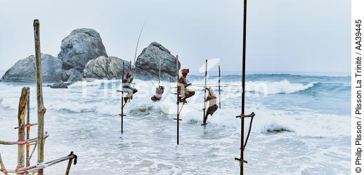 Pêcheurs sur échasse au Sri Lanka - © Philip Plisson / Plisson La Trinité / AA39445 - Nos reportages photos - Couleur