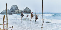 © Philip Plisson / Plisson La Trinité / AA39445 Pêcheurs sur échasse au Sri Lanka - Nos reportages photos - Activité maritime
