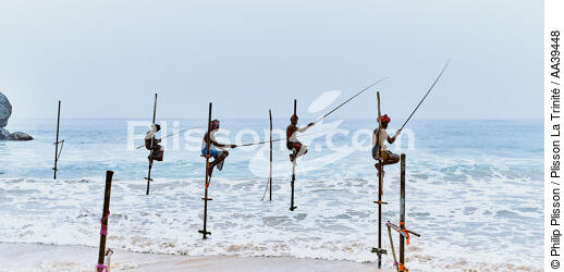 Pêcheurs sur échasse au Sri Lanka - © Philip Plisson / Plisson La Trinité / AA39448 - Nos reportages photos - Personnage