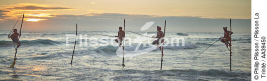 Pêcheurs sur échasse au Sri Lanka - © Philip Plisson / Plisson La Trinité / AA39450 - Nos reportages photos - Personnage