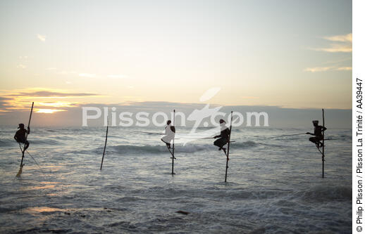 Pêcheurs sur échasse au Sri Lanka - © Philip Plisson / Plisson La Trinité / AA39447 - Nos reportages photos - Activité maritime