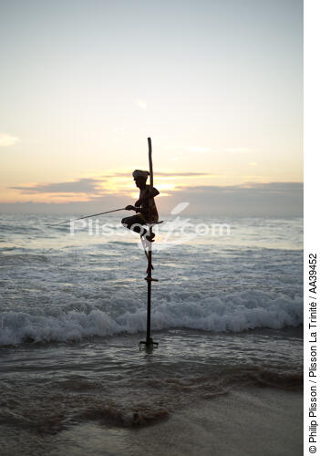 Pêcheurs sur échasse au Sri Lanka - © Philip Plisson / Plisson La Trinité / AA39452 - Nos reportages photos - Métier