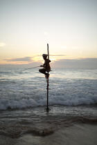 © Philip Plisson / Plisson La Trinité / AA39452 Fishermen on a stick in Sri Lanka - Photo Galleries - Color