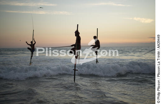 Pêcheurs sur échasse au Sri Lanka - © Philip Plisson / Plisson La Trinité / AA39449 - Nos reportages photos - Philip Plisson